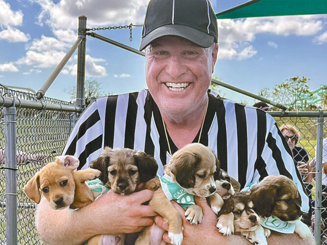 Puppy Bowl IV
